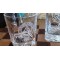 Decanter and Glass Set